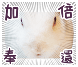 Bosstwo-CUTE Rabbit sticker #14216198