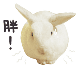 Bosstwo-CUTE Rabbit sticker #14216200