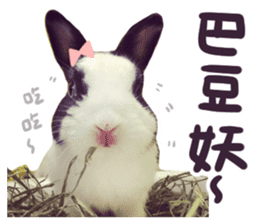 Bosstwo-CUTE Rabbit sticker #14216201