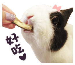 Bosstwo-CUTE Rabbit sticker #14216203