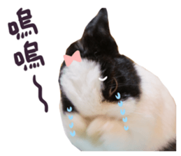 Bosstwo-CUTE Rabbit sticker #14216204