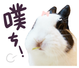 Bosstwo-CUTE Rabbit sticker #14216206