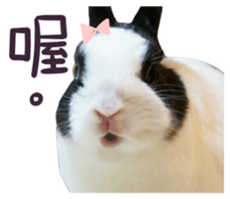 Bosstwo-CUTE Rabbit sticker #14216207