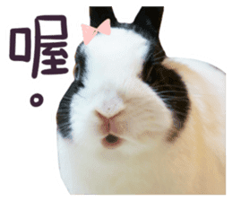 Bosstwo-CUTE Rabbit sticker #14216207