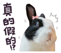 Bosstwo-CUTE Rabbit sticker #14216208