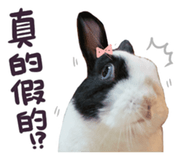Bosstwo-CUTE Rabbit sticker #14216208