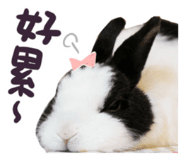 Bosstwo-CUTE Rabbit sticker #14216209