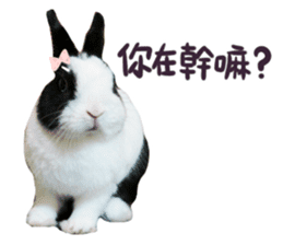 Bosstwo-CUTE Rabbit sticker #14216210