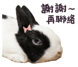 Bosstwo-CUTE Rabbit sticker #14216212