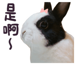 Bosstwo-CUTE Rabbit sticker #14216214