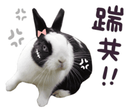 Bosstwo-CUTE Rabbit sticker #14216215