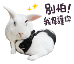 Bosstwo-CUTE Rabbit sticker #14216218