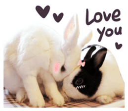 Bosstwo-CUTE Rabbit sticker #14216220