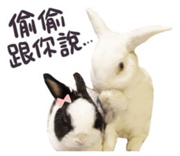 Bosstwo-CUTE Rabbit sticker #14216221