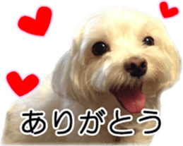 Riki and Karin sticker #14217326