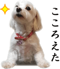 Riki and Karin sticker #14217327