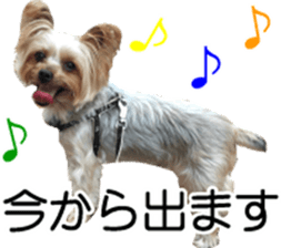 Riki and Karin sticker #14217332