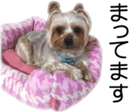 Riki and Karin sticker #14217333