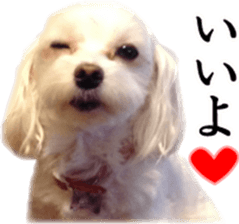 Riki and Karin sticker #14217334