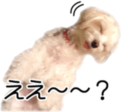 Riki and Karin sticker #14217335