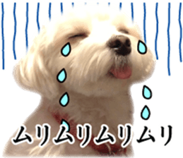 Riki and Karin sticker #14217336