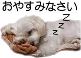 Riki and Karin sticker #14217337