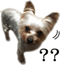 Riki and Karin sticker #14217338