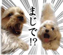 Riki and Karin sticker #14217339