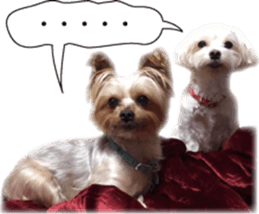 Riki and Karin sticker #14217340