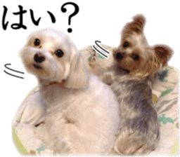 Riki and Karin sticker #14217341