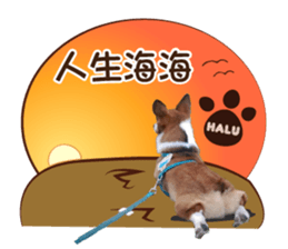 Corgi Puppy: Halu sticker #14218919