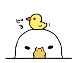 real duck in motion sticker #14219646