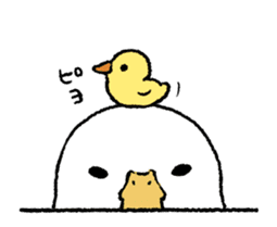 real duck in motion sticker #14219646