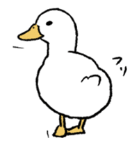 real duck in motion sticker #14219647