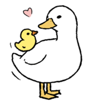 real duck in motion sticker #14219648