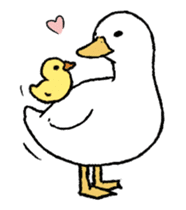 real duck in motion sticker #14219648