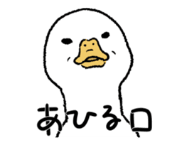 real duck in motion sticker #14219651