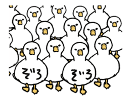 real duck in motion sticker #14219653