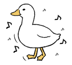 real duck in motion sticker #14219654