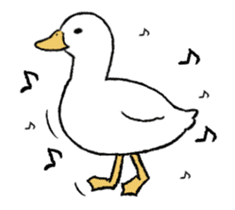 real duck in motion sticker #14219654