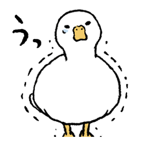 real duck in motion sticker #14219656