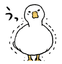 real duck in motion sticker #14219656