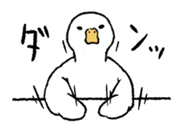 real duck in motion sticker #14219657