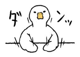 real duck in motion sticker #14219657