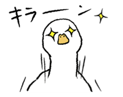 real duck in motion sticker #14219658