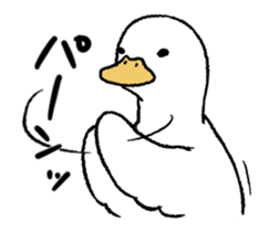 real duck in motion sticker #14219659