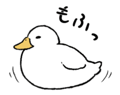 real duck in motion sticker #14219662
