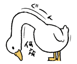 real duck in motion sticker #14219665