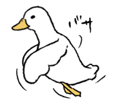 real duck in motion sticker #14219666