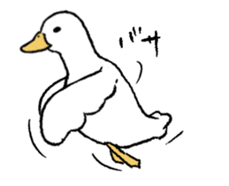 real duck in motion sticker #14219666